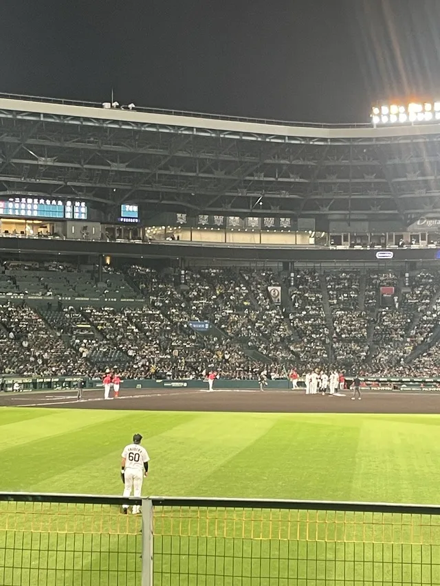 夜の野球場で、選手たちが試合をしている。