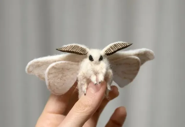 指先にとまる、白くふわふわした大きな蛾