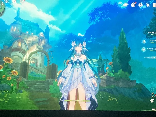 青空と花畑を背景に、白と青の衣装を着たゲームキャラクターが立っている画面