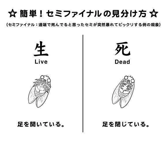 セミの生死を、脚を開いているか閉じているかで見分ける方法を示した図。